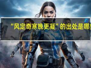 “风定奇寒晚更凝”的出处是哪里