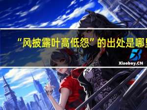“风披露叶高低怨”的出处是哪里