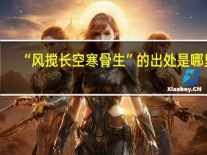 “风搅长空寒骨生”的出处是哪里
