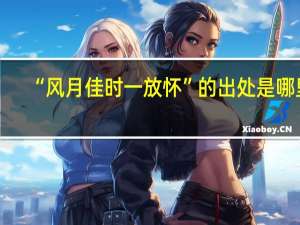 “风月佳时一放怀”的出处是哪里