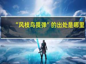 “风枝鸟畏弹”的出处是哪里