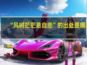 “风树茫茫意自悲”的出处是哪里