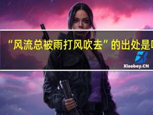 “风流总被雨打风吹去”的出处是哪里