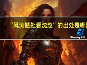 “风涛撼处看沈赵”的出处是哪里