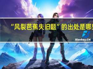 “风裂芭蕉失旧题”的出处是哪里