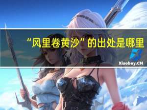 “风里卷黄沙”的出处是哪里