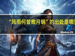 “风雨何曾败月明”的出处是哪里