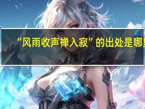 “风雨收声禅入寂”的出处是哪里