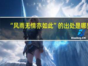 “风雨无情亦如此”的出处是哪里