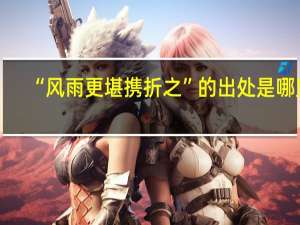 “风雨更堪携折之”的出处是哪里