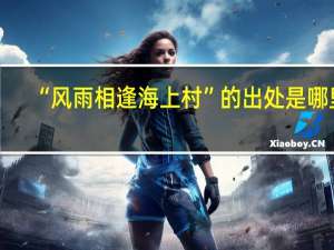 “风雨相逢海上村”的出处是哪里