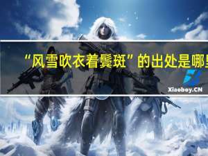 “风雪吹衣着鬓斑”的出处是哪里