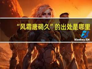 “风霜唐碣久”的出处是哪里
