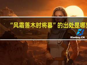 “风霜落木时将暮”的出处是哪里