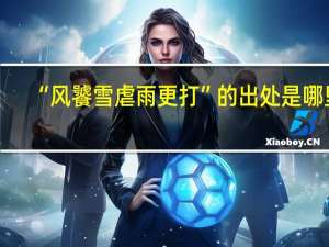 “风饕雪虐雨更打”的出处是哪里