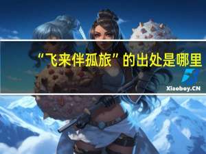 “飞来伴孤旅”的出处是哪里