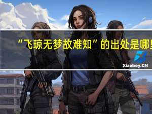 “飞琼无梦故难知”的出处是哪里