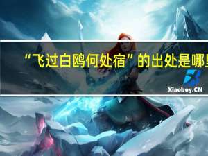 “飞过白鸥何处宿”的出处是哪里