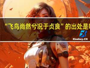 “飞鸟尚然兮况于贞良”的出处是哪里