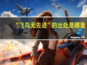 “飞鸟无去迹”的出处是哪里