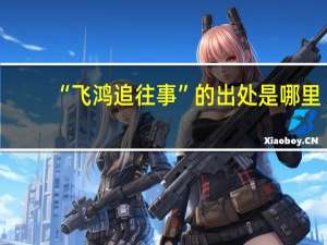 “飞鸿追往事”的出处是哪里
