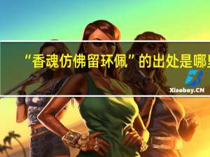 “香魂仿佛留环佩”的出处是哪里