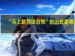“马上琵琶徒自恨”的出处是哪里