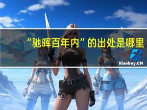 “驰晖百年内”的出处是哪里