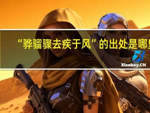 “骅骝骤去疾于风”的出处是哪里