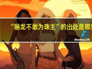 “骊龙不敢为珠主”的出处是哪里