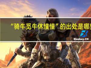 “骑牛觅牛休憧憧”的出处是哪里