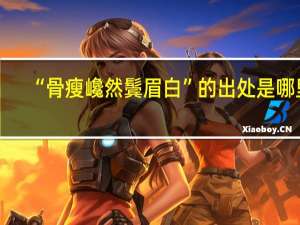 “骨瘦巉然鬓眉白”的出处是哪里