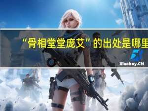 “骨相堂堂庞艾”的出处是哪里