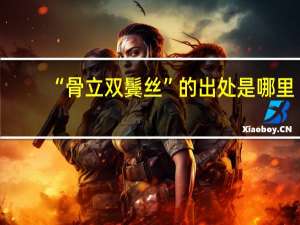 “骨立双鬓丝”的出处是哪里