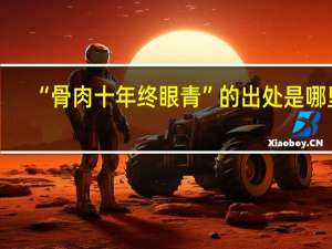 “骨肉十年终眼青”的出处是哪里