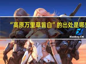 “高原万里草皆白”的出处是哪里