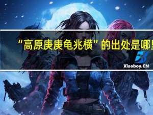 “高原庚庚龟兆横”的出处是哪里