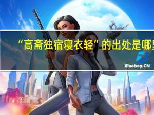 “高斋独宿寝衣轻”的出处是哪里