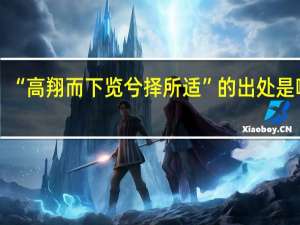 “高翔而下览兮择所适”的出处是哪里