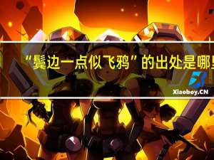 “鬓边一点似飞鸦”的出处是哪里