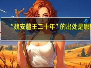 “魏安釐王二十年”的出处是哪里