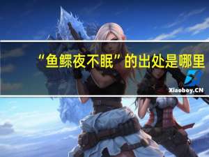 “鱼鳏夜不眠”的出处是哪里