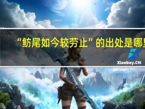 “鲂尾如今较劳止”的出处是哪里