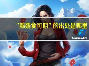 “鵷鶵食可期”的出处是哪里