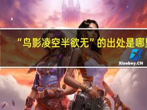 “鸟影凌空半欲无”的出处是哪里