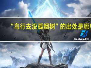 “鸟行去没孤烟树”的出处是哪里