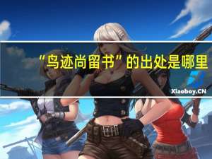 “鸟迹尚留书”的出处是哪里