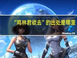 “鸡林君欲去”的出处是哪里