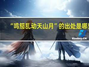 “鸣笳乱动天山月”的出处是哪里