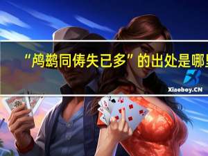 “鸬鹚同俦失已多”的出处是哪里